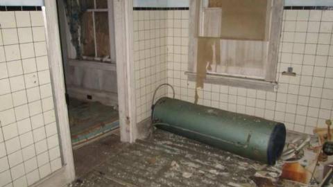 Old Creeper - IMG_1419.jpg