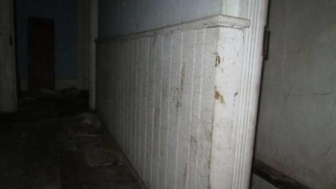 Old Creeper - IMG_1421.jpg