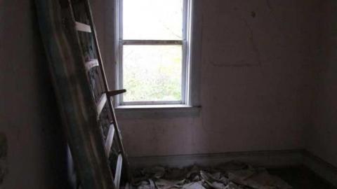 Old Creeper - IMG_1424.jpg