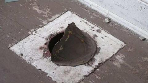 Old Creeper - IMG_1426.jpg