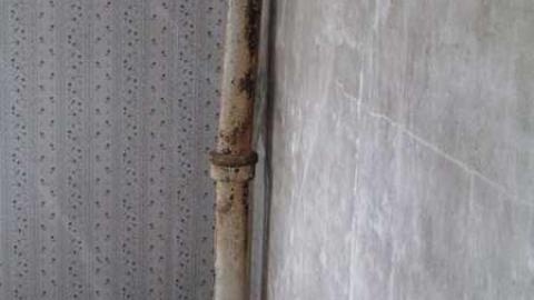 Old Creeper - IMG_1431.jpg