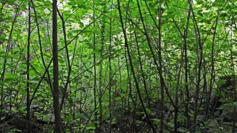 August 2012 Pics - The-Haven-vertical-reality38.jpg