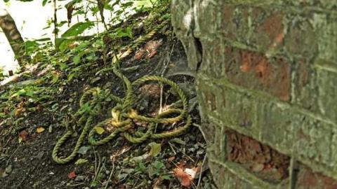 August 2012 Pics - The-Haven-vertical-reality29.jpg