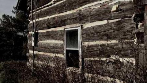 Cabin Style - Mt.-Pleasant-Cabin1.jpg