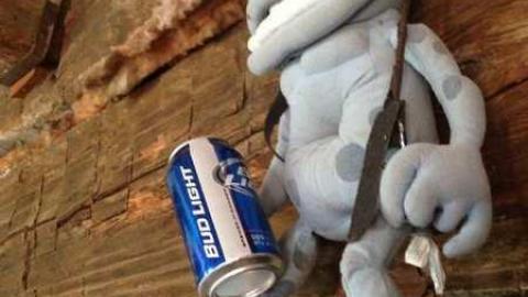 Cabin Style - Mt.-Pleasant-Cabin11.jpg