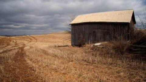 Gallery - Paddock-Farm8.jpg