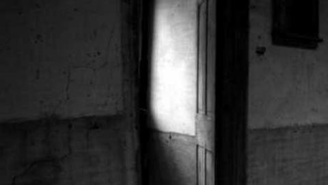 Gallery - Paddock-Farm10.jpg