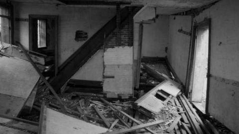 Gallery - Paddock-Farm12.jpg