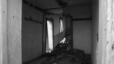 Gallery - Paddock-Farm13.jpg