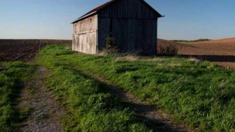 Gallery - Paddock-Farm14.jpg