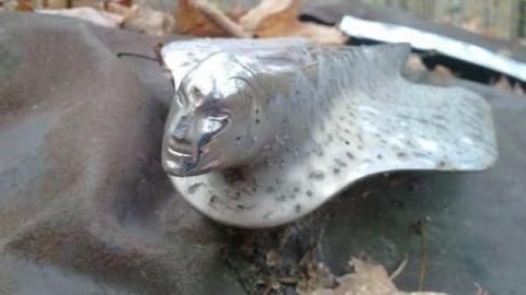 Sept 19 - Abandoned-Cadillac15.jpg