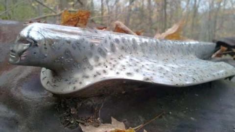 Sept 19 - Abandoned-Cadillac17.jpg