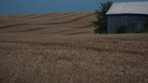 Gallery - Paddock-Farm15.jpg