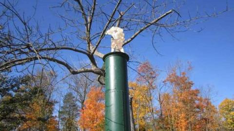 Morningstar Mill - Morningstar-Mill7.jpg