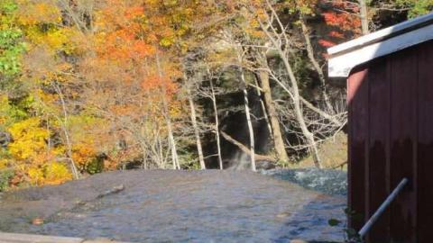 Morningstar Mill - Morningstar-Mill11.jpg