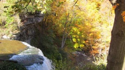 Morningstar Mill photo 3