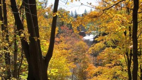 Morningstar Mill - Morningstar-Mill13.jpg