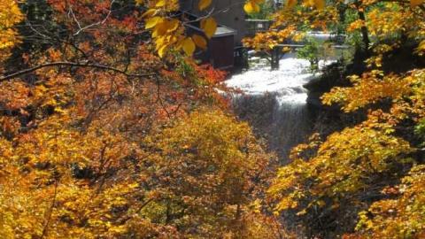 Morningstar Mill - Morningstar-Mill1.jpg