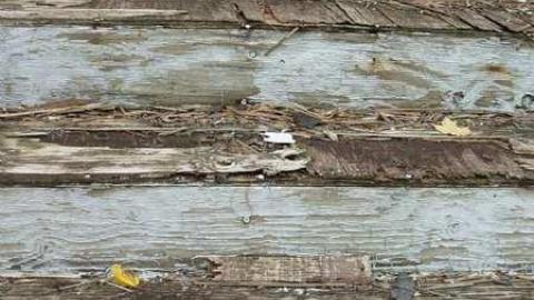 Arts Building, Queens Park - The-Arts-Building-Queens-Park10.jpg