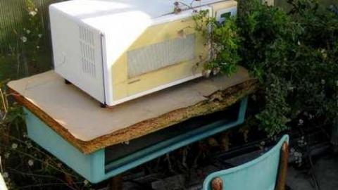 Greenhouse Ruins - 004 - IMG_0075.jpg