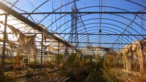 Greenhouse Ruins - 005 - IMG_0077b.jpg