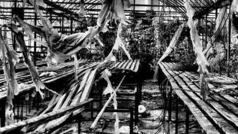 Greenhouse Ruins - 007 - IMG_0079c.jpg