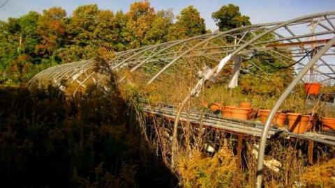 Greenhouse Ruins - 009 - IMG_0082b.jpg