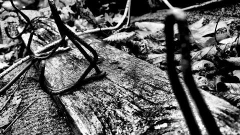 Schisler Collapse photo 5