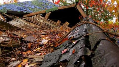 Photo from Schisler Collapse