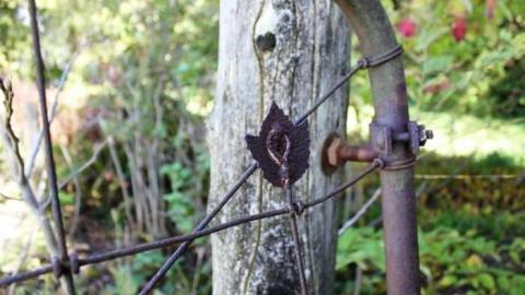 Horwood Property - Abandoned-or-Not-on-2524.jpg