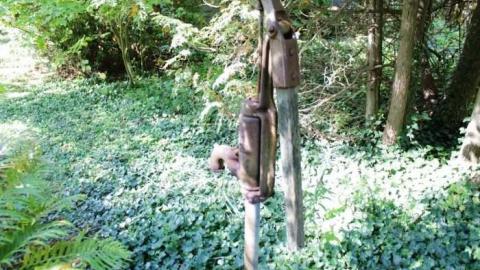 Horwood Property - Abandoned-or-Not-on-2526.jpg