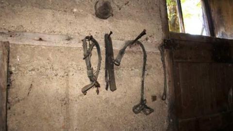 Horwood Property - Abandoned-or-Not-on-2565.jpg