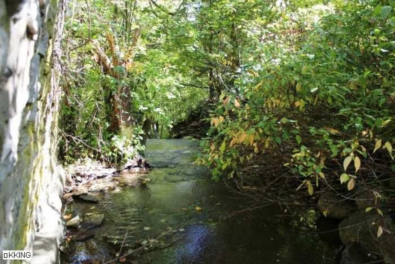 Horwood Property - Abandoned-or-Not-on-2532.jpg