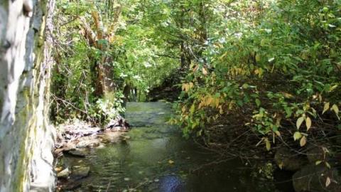 Horwood Property - Abandoned-or-Not-on-2532.jpg