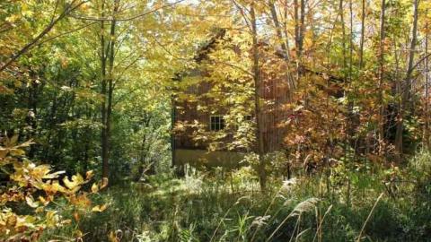 Horwood Property - Abandoned-or-Not-on-2569.jpg