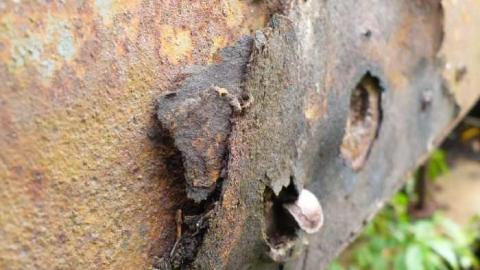 Train in Vain - South-Simcoe-RR41.jpg