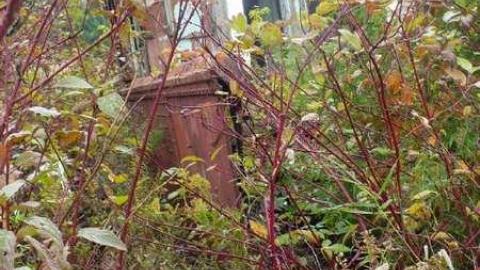 Train in Vain - South-Simcoe-RR42.jpg