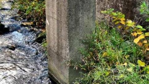 Lowery Mill Remains - The-Old-Lowery-Mill4.jpg