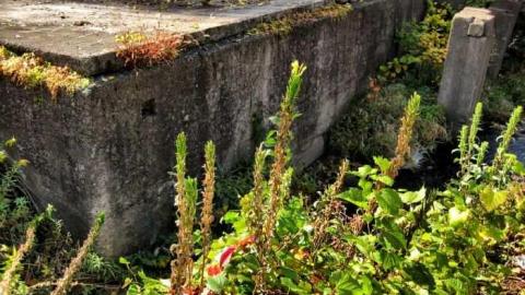 Lowery Mill Remains - The-Old-Lowery-Mill5.jpg