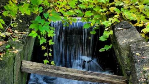 Lowery Mill Remains - The-Old-Lowery-Mill6.jpg