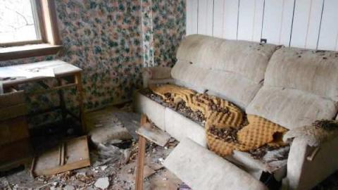 Flyin Squirrels - Elmvale-Stone-House61.jpg