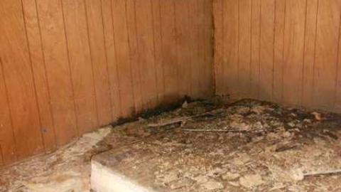 Flyin Squirrels - Elmvale-Stone-House65.jpg