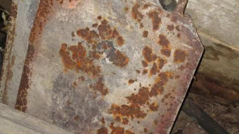 Sweet Decay w/ Sprinkles - Sugar-Shack23.jpg