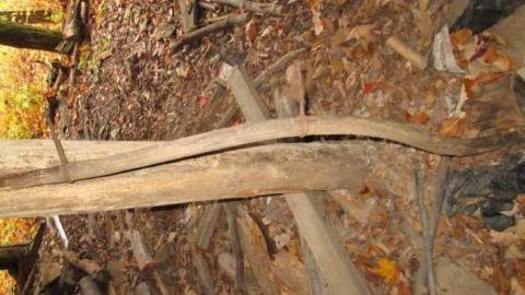 Sweet Decay w/ Sprinkles - Sugar-Shack20.jpg