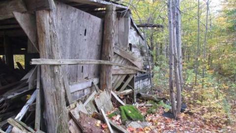 Sugar Shack - Springwater, Ontario