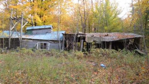 Sweet Decay w/ Sprinkles - Sugar-Shack25.jpg