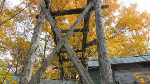 Sweet Decay w/ Sprinkles - Sugar-Shack33.jpg