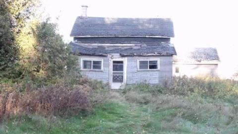 diamond in the bush - Horseshoe-Hill-Road-near-Star37.jpg