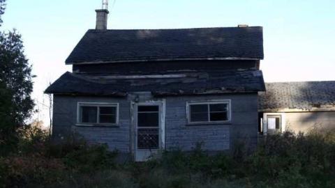 diamond in the bush - Horseshoe-Hill-Road-near-Star38.jpg