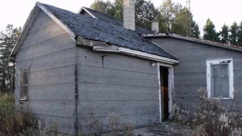 diamond in the bush - Horseshoe-Hill-Road-near-Star40.jpg